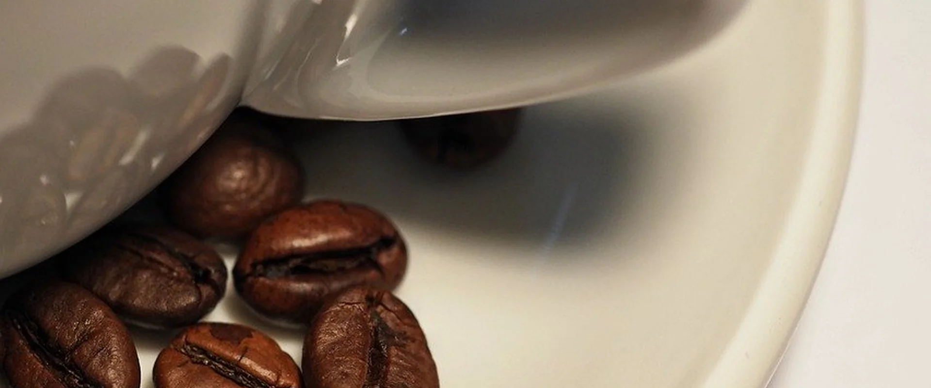 b体育官网PG电子