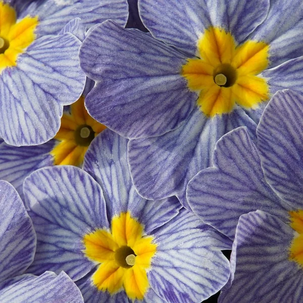 b体育官网捕鱼游戏